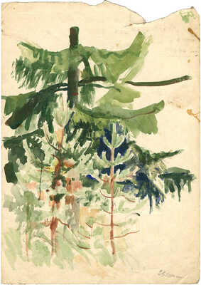 Эвенбах Евгения Константиновна. Пейзаж